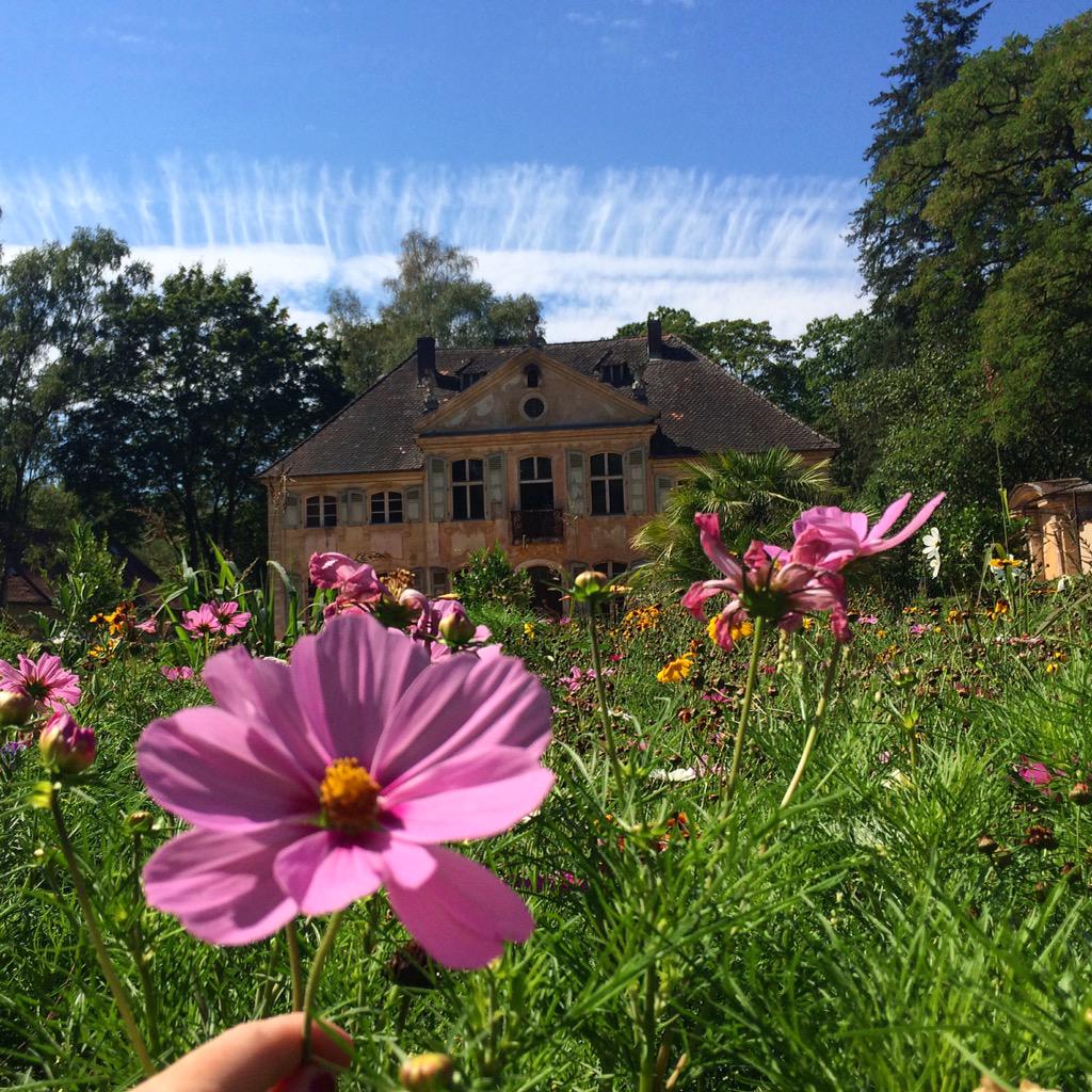 Redpathart's tweet image. Taking pretty pictures of my future home #appelhof