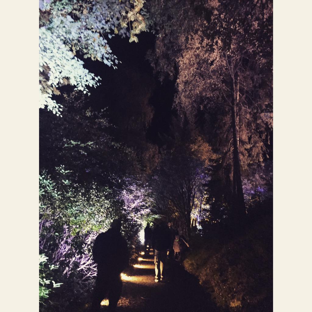 Laurenmcandrew's tweet image. #EnchantedForrest