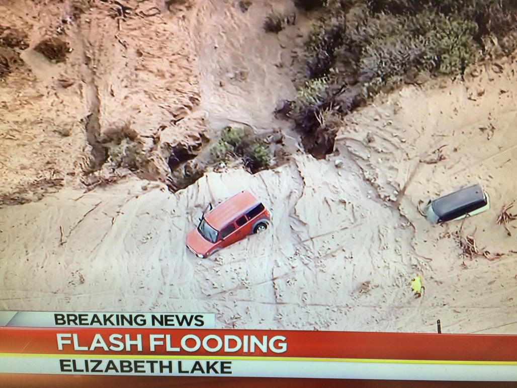 View image on Twitter