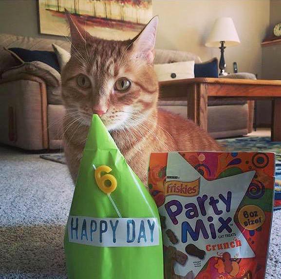 connorfranta's tweet image. its pre's birthday today!! WHAT A FREAKING CUTIE AW