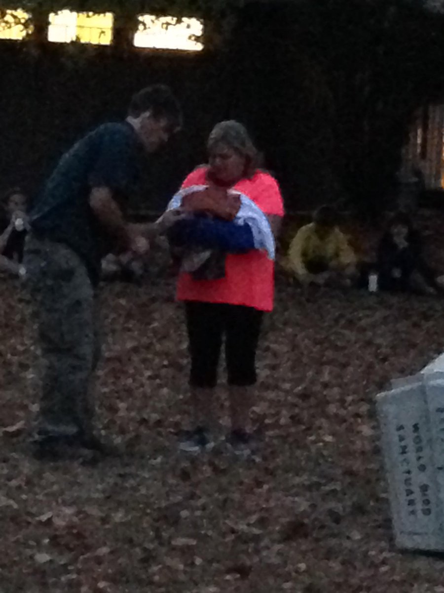 seekerLSMS's tweet photo. Camp rehabbed owl release! @LaSalleMS @LaSalleSpringsM #seekercamp https://t.co/xUHqn9pmB0