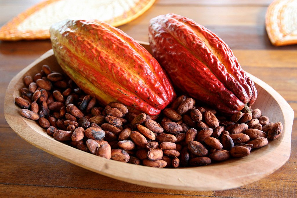castellonenruta's tweet photo. CHOCOCAS y El oscuro secreto del chocolate (1ª Parte): https://t.co/cErwr3Fqfv @VenACastellon @chococas https://t.co/0pGSSwJvIp