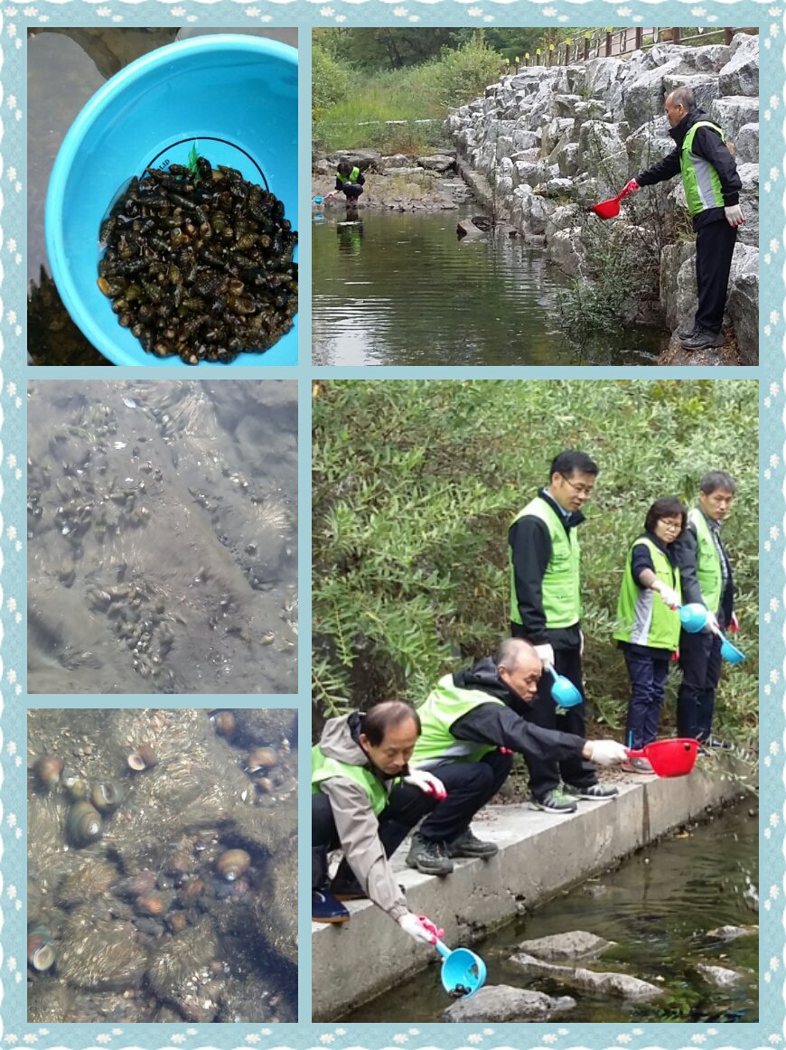 "사람과 자연이하나되는 도심속생태하천😊😁"

#성남시 #분당구청 환경위생과에서는 분당천상류에서 어류전문가분과함께 우렁이,다슬기,미꾸리 수천마리를 방류하였습니다 <a href="/Jaemyung_Lee/">이재명</a>