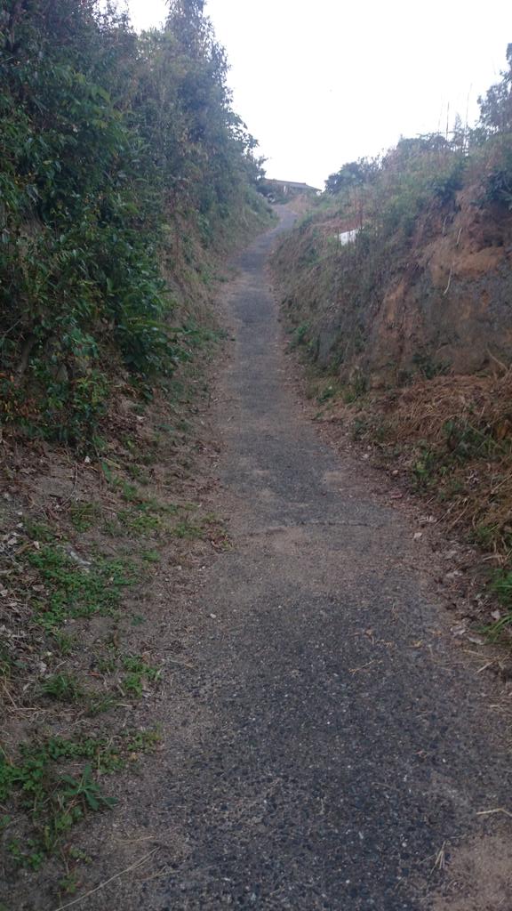 tomoking43's tweet photo. これが俺の通学路だバカヤロウ… https://t.co/sH0He1vAKX