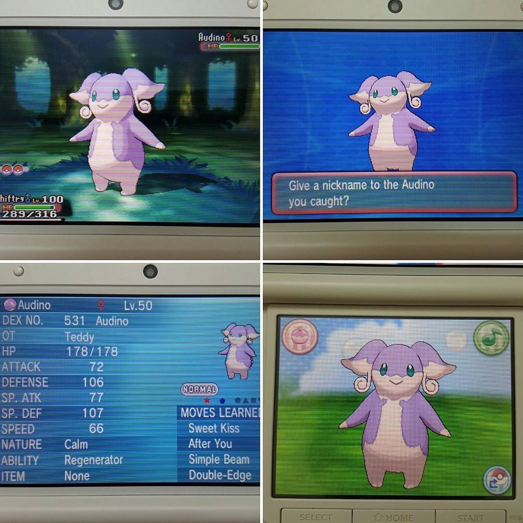 Audino  Pokédex