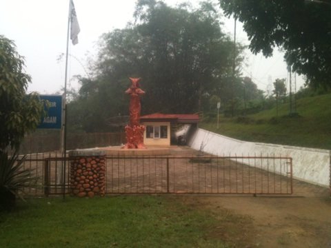 M HIDAYAH TULLAH (@ffarduuu) on Twitter photo 