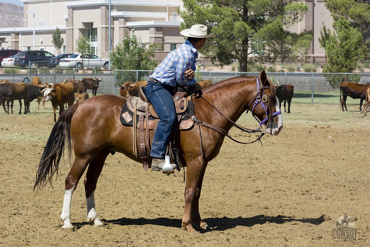 Cowboy Trail Rides tweet media