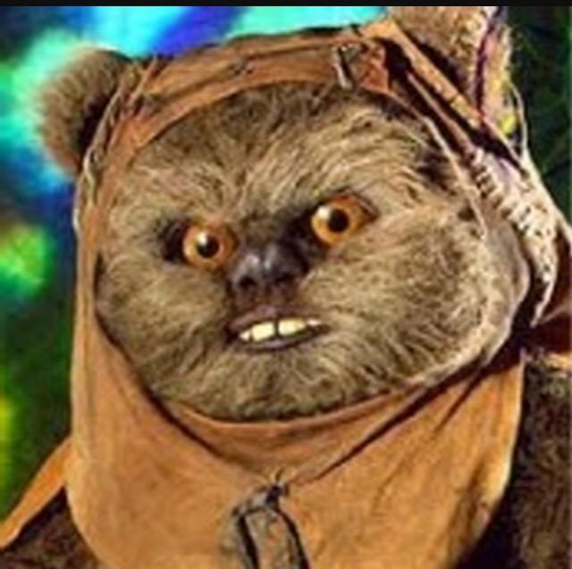 J_Therrien's tweet photo. Not sure if @KyleNobach or an Ewok 😳 http://t.co/x55nGfEtP4