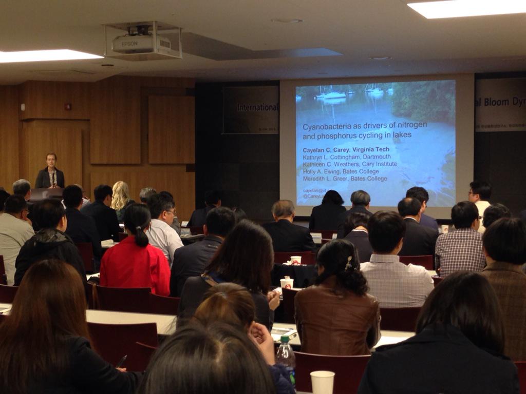 Cayelan debunks myths about Cyanobacteria at int'l cyano meeting, s. korea! @GLEONetwork @ForestClimateVT @CareyLab