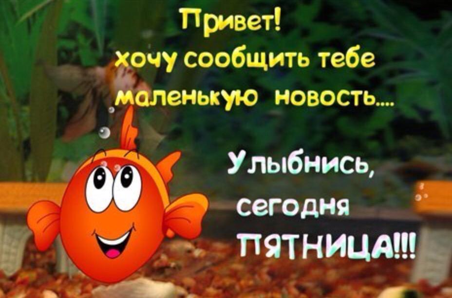 Анимация, с добрым утром сегодня пятница картинки прикольные смешные