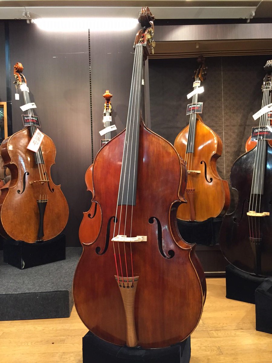 クロサワ楽器 コントラバス本店 春の特選コントラバス祭 アップライトベースフェス Rudolph Fiedler Dollenz Mode L 810 000 税抜 ペグは独立ペグ 目を引くテイルピース 撫で肩シェイプで演奏性もバッチリ Http T Co 15pmt2se8j Http T Co クロサワ楽器 コントラバス本店 春の特選コントラバス祭 アップライトベースフェス Rudolph Fiedler Dollenz Mode L 810 000 税抜 ペグは独立ペグ 目を引くテイルピース 撫で肩シェイプで演奏性もバッチリ Http T Co 15pmt2se8j Http T Co