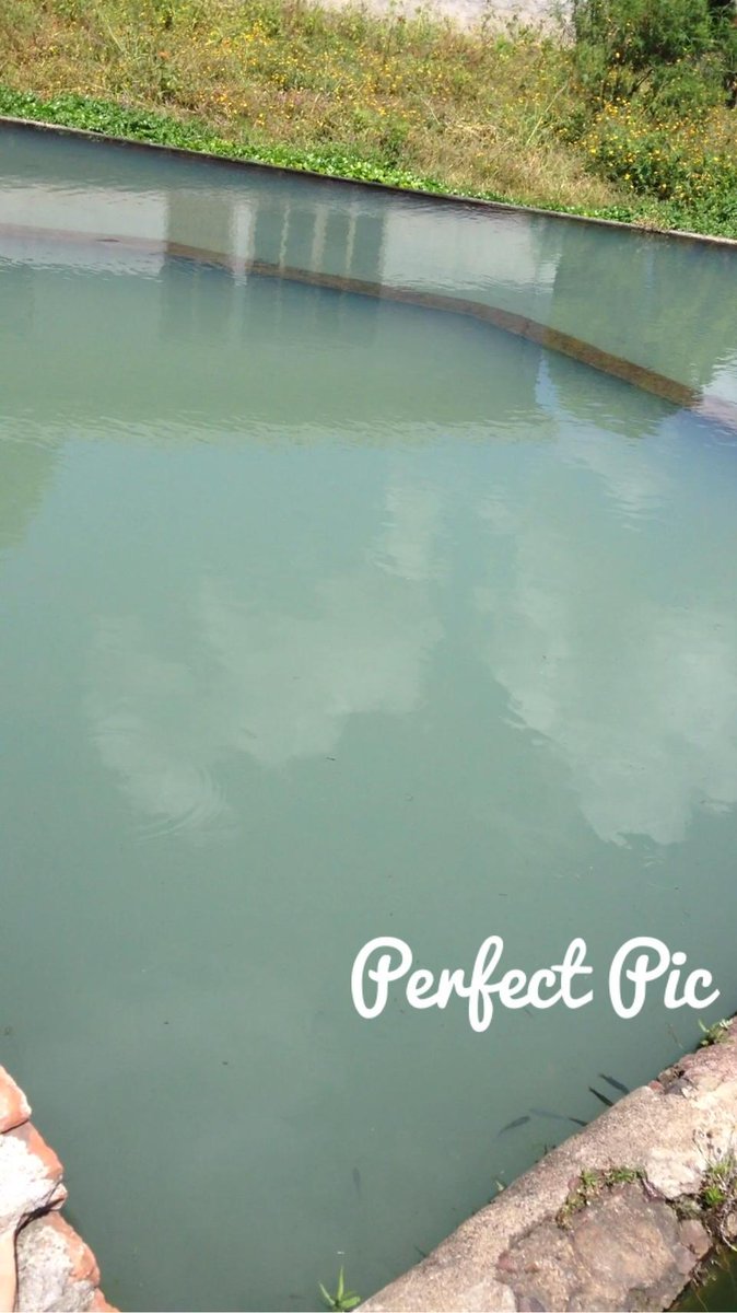 RafaelSolorio3's tweet photo. Tomado con @PerfectPicApp http://t.co/wkSEwrgbSQ