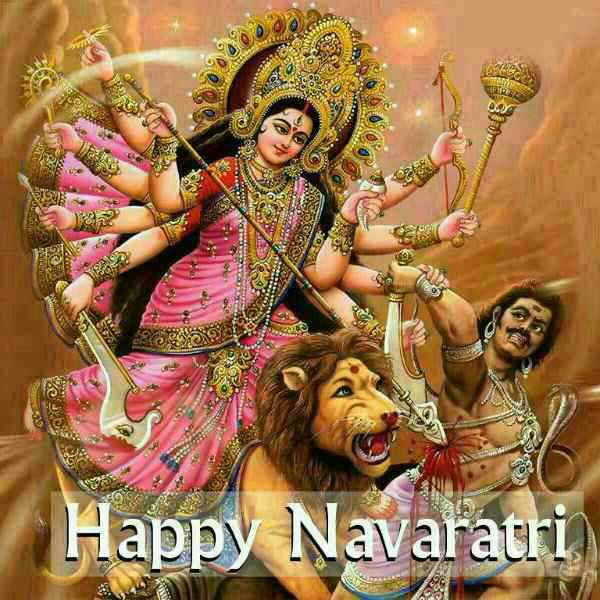 cfaca1592b5b45c's tweet image. 