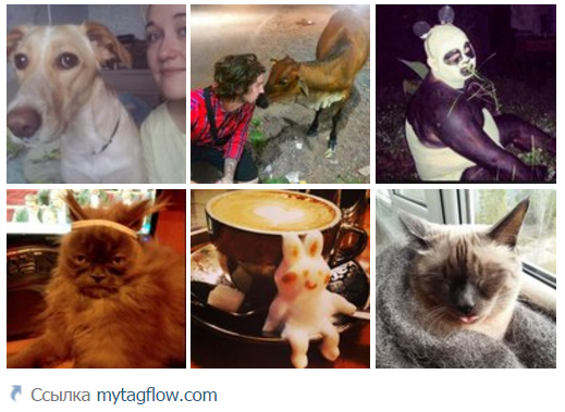 MyTagFlow's tweet photo. А вот и #пятница, друзья! Пятничные посты из всех соцсетей в одном потоке http://t.co/4J5jvxSGfV #mytagflow #smm http://t.co/FIU5WrBmhT
