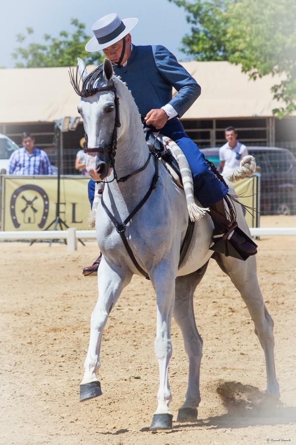 TrocaoWeb's tweet photo. Hoy a las 15h puedes volver a ver el @ArrearyTemplar con el reciente campeón de España de Doma Vaquera Diego Peña http://t.co/DqtkxjKN2E
