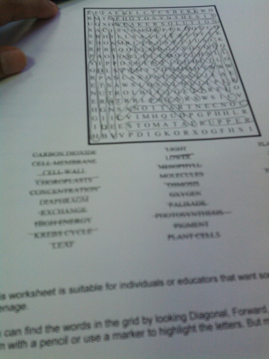 harley_quiinnnn's tweet image. I kinda underestimated the level of difficulty 😅 #EnglishLectures