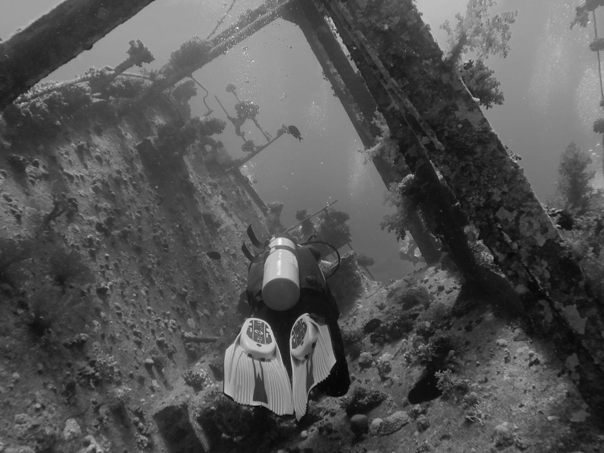DeepDiversEgypt's tweet image. Black &amp;amp; White Wreck Diving in the Red Sea dive.im/1Ldu7va