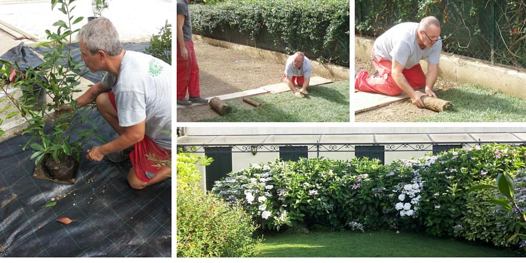 Interventi di messa a dimora piante e realizzazione di manto erboso a pronto effetto