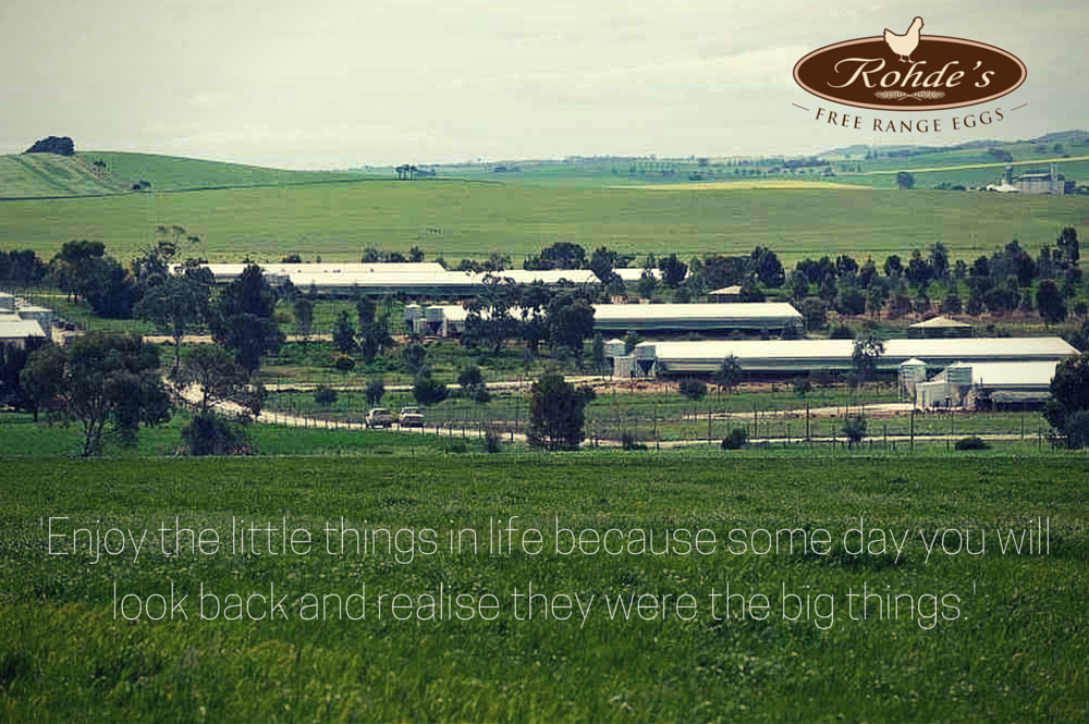 RohdesFreeRange's tweet photo. Wishing you all a lovely weekend ~ appreciate the little things. #Friday #Weekend #Quote #RohdesFreeRangeEggs http://t.co/3L2dw3J3S1
