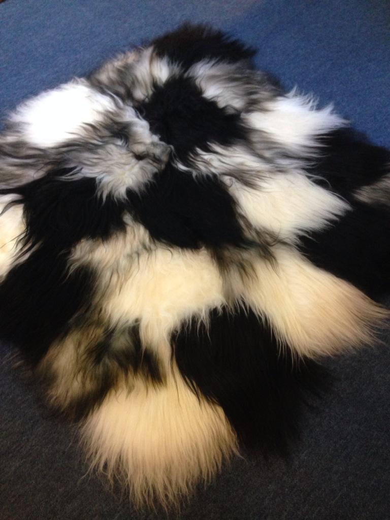 warwicktower's tweet photo. New to Carlisle are these Gorg Icelandic sheepskins in various sizes and colours. #interiordesign #warminside http://t.co/gybSBheqxG