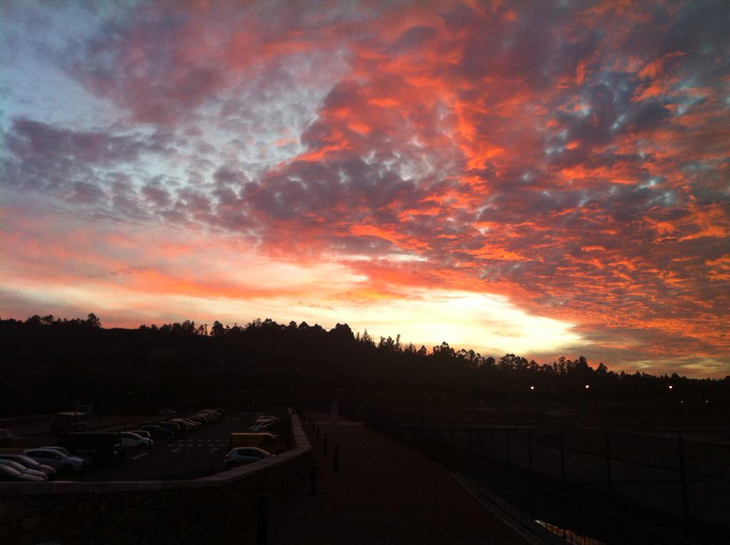 El Turista Optimista tweet media