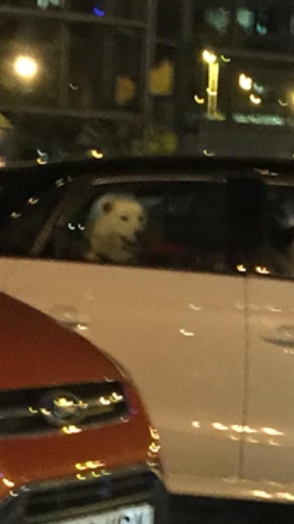 TheVampsJames's tweet image. They see me rollin.