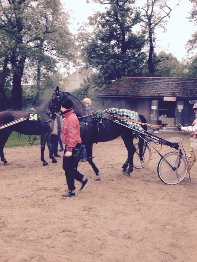 Dobson de Viette qualifié en 1'20"2, Diadème Atout qualifié en 1'20'1 et Dorthez Prestance en 1'19"7 (photo)👍 3/6 !