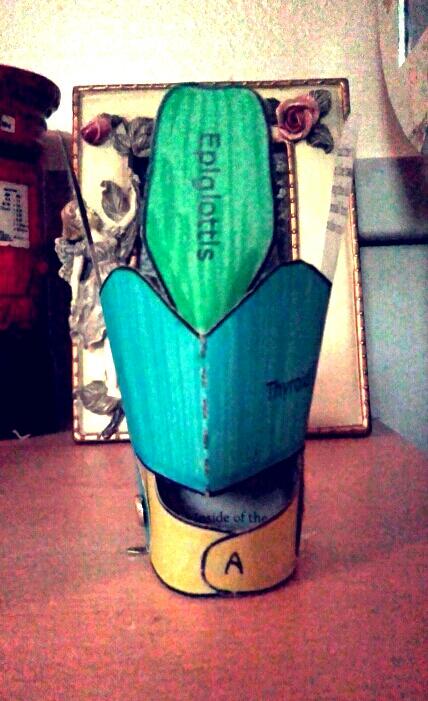 PINKYBEEF's tweet image. Actually really enjoyed making a Larynx model! #linguisticsfun 😄