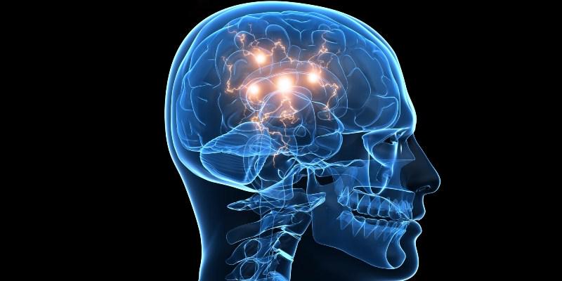 Abahanga bagaragaje ko kugira ubwonko bunini bitavuze kugira ubuhanga bwinshi...igihe.com/amakuru/u-rwan…