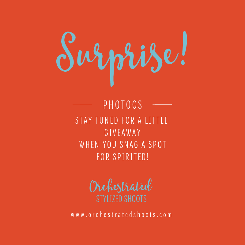 OrchestratedSS's tweet photo. We have an AMAZING surprise for those who are joining us for Spirited! Stay tuned next week! #weddingphotographers http://t.co/zGfJNyDuqp