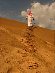 بين الجمايل والمراجل علاقات
وبين الضعافه والرخامه علاقه

يموت راع الطيب والطيب مامات
يبقى صدى فعل الوفا و الصداقه