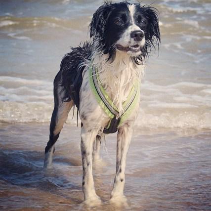 ServicePress's tweet image. #carefortheocean 
Photo by Megan Hickling, 16yrs