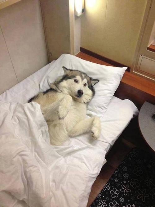 HashtagCuteness's tweet photo. So you gonna read me a bedtime story or nah? http://t.co/x7G3rruTz2