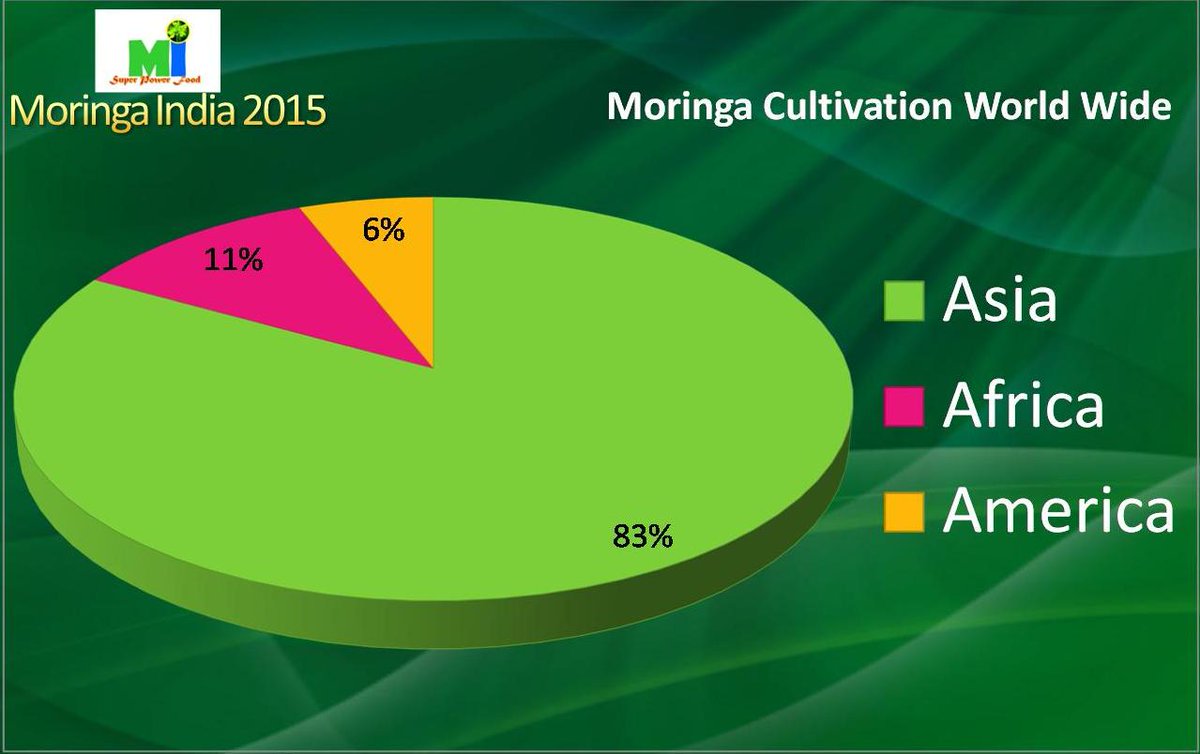 globalmoringacultivation