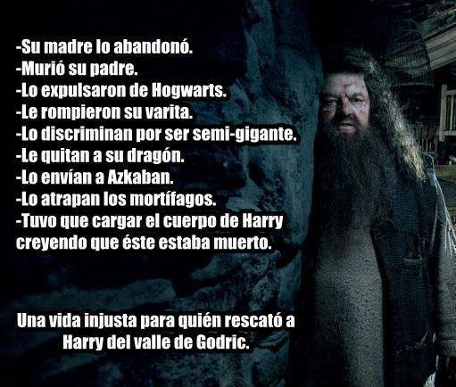 Hogwartssite's tweet image. LLORO.