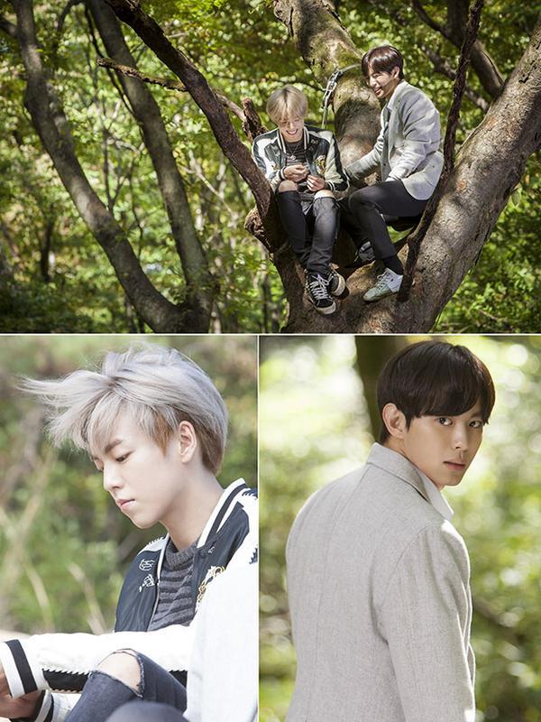 культивирование мурим. корейские дорамы школа мурим. культивирование мурим. культивирование мурим. альянс мурим и культ хончон.