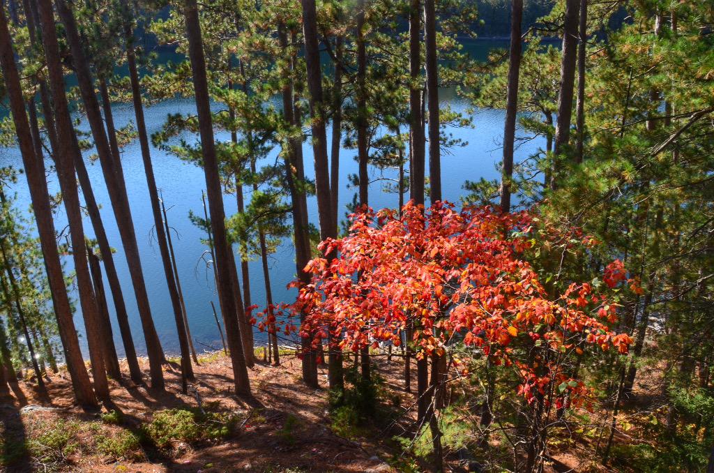 OntarioParksNE's tweet image. #FallFriday @KillarneyPP #DYK AYJackson + #GroupofSeven camped/painted #Killarney into Nov @OntarioParks @NeOntario