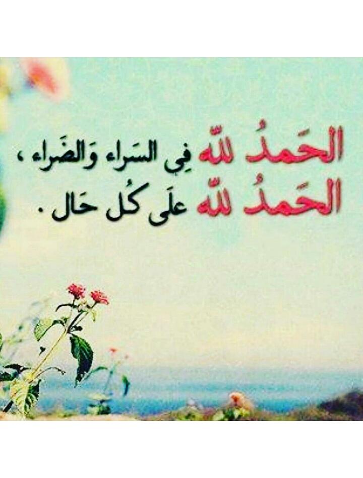 dobbasnit's tweet image. 