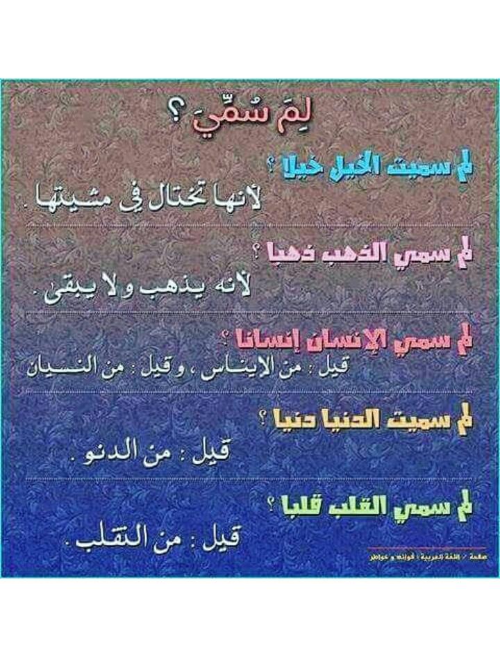 dobbasnit's tweet image. 