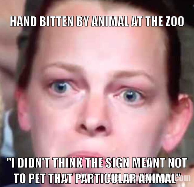 HindsightHenry's tweet image. 