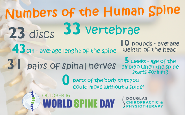 douglasclinic's tweet photo. Happy #WorldSpineDay from #Cork! @world_spine_day #spineselfie #yourbackatwork #chiropractor http://t.co/qH6nJajUe8 http://t.co/38EQwe1V7c