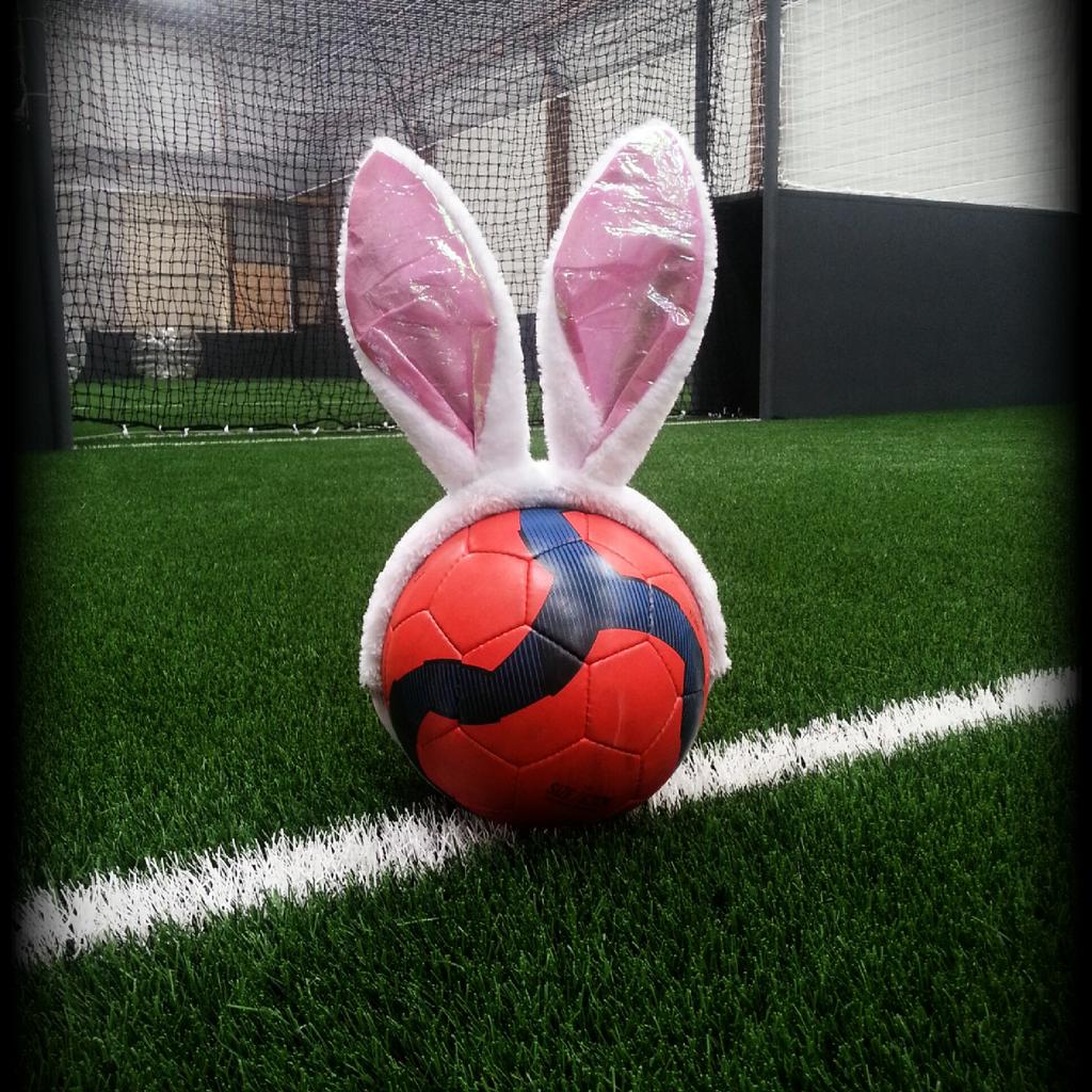 ShockerZone49's tweet photo. On a perdu notre lapin ....
#lapincrétrin #ShockerZone #SHOCKERS http://t.co/BM8uUqGv8a