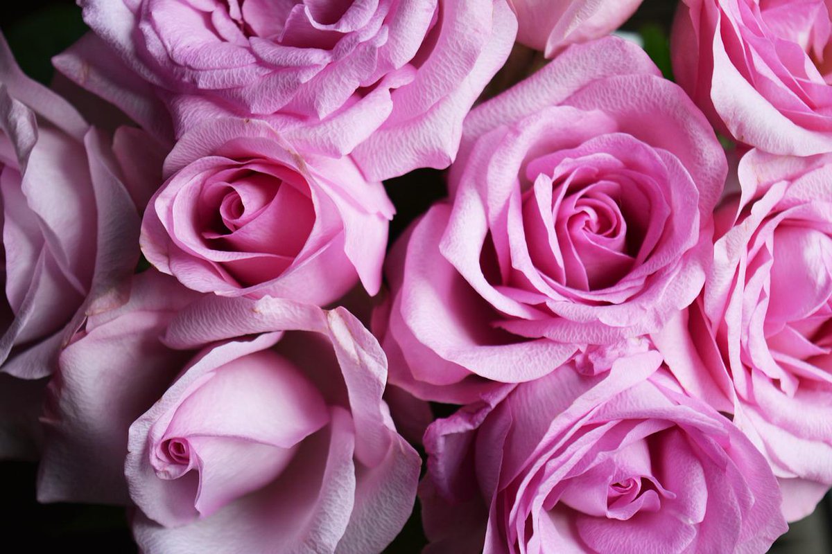 Heb je #HOB gemist maar wil je toch nog meehelpen? Doneer alsnog via onze online collectebus: mi8.ly/qpd2kz