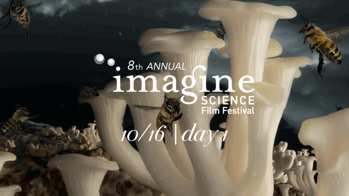 sciencenewwave's tweet photo. while we ponder over alien existence, check out #isff2015 starts today #escapevelocity @google #GoogleNY #KIC8462852 http://t.co/ZdyyHGByYY