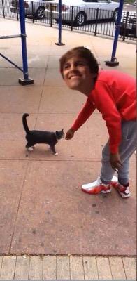 VOTEBUFF's tweet photo. As much as I hate to admit, @mattSmith4prez campaign is pretty kickin' #poorkitty #evil #LetsGetToughAmerica http://t.co/Zil1GaAiaE