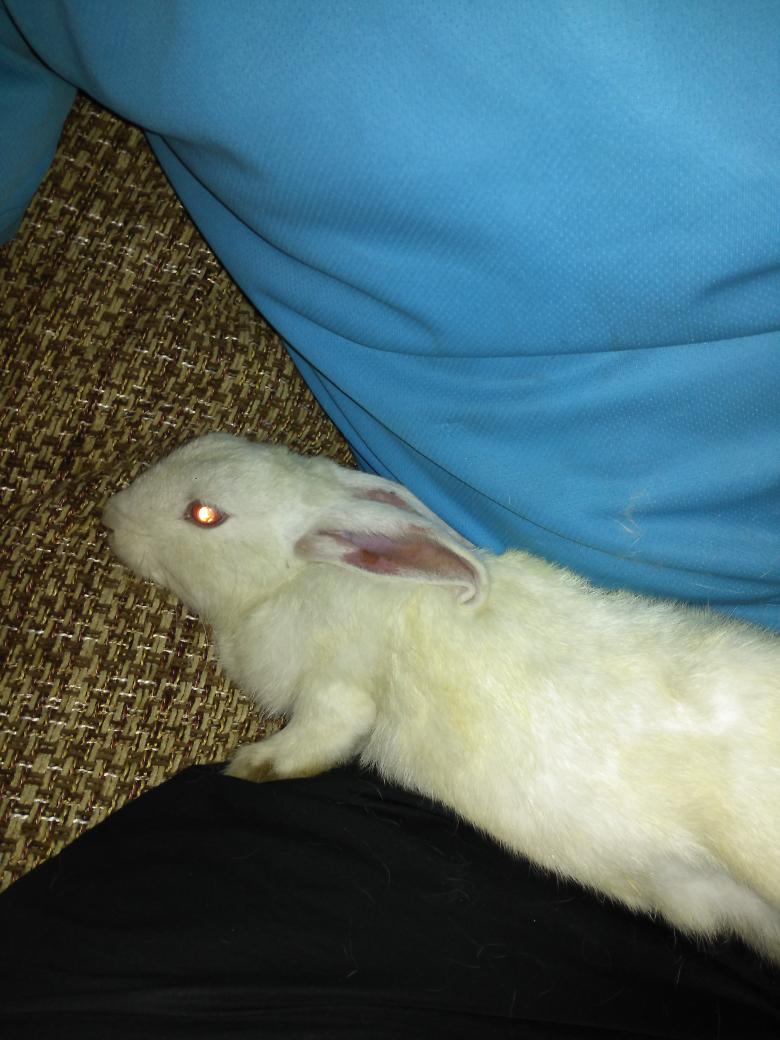 FeroGulecc's tweet photo. #Merhabaa #Dostumm :)) http://t.co/ACvp0FRLVf