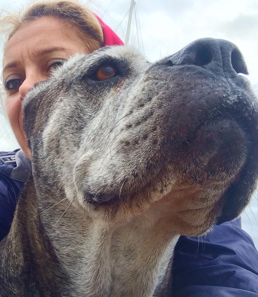 irene chiarolanza tweet media