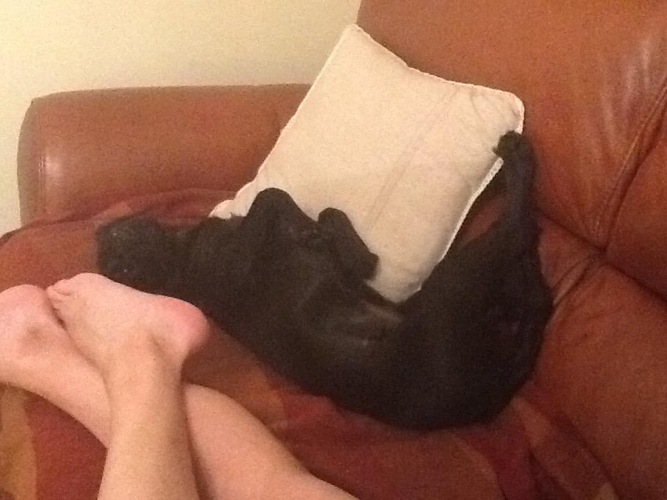 loubuck33's tweet photo. A whole new meaning for putting your feet up . http://t.co/n4U1w7hQzT