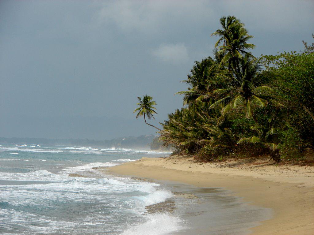 7BARRASOS's tweet image. Rincon Puerto Rico