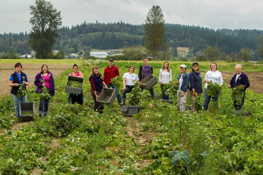Rotary's tweet image. Starting a chat with @RFHarvest and @foodbanking for a #WorldFoodDay. Join us by using #Rotarystopshunger!